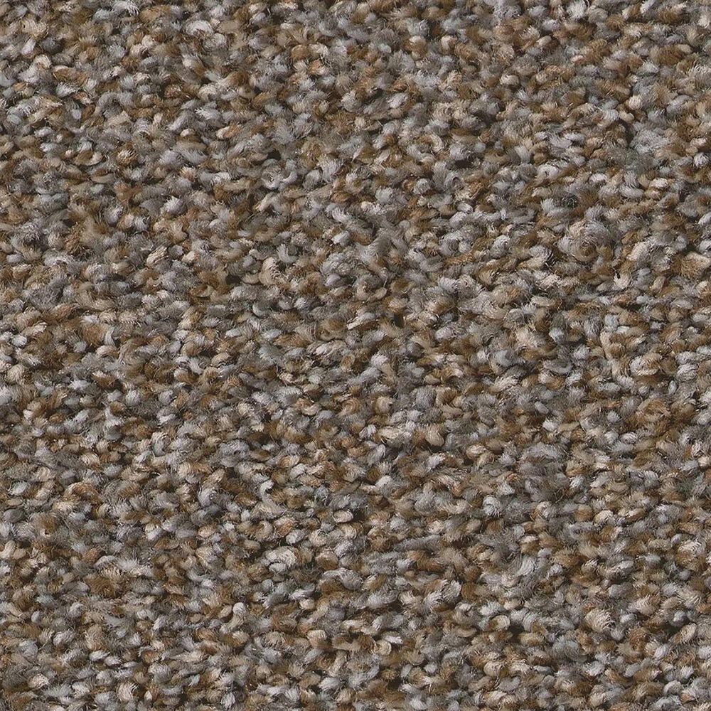 Shaw Tweed Comfort I Carpet in Gathering, , large