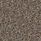 Shaw Tweed Comfort I Carpet in Gathering, , large