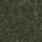 Shaw Hard At Play II Carpet in Rerooted Nature, , large
