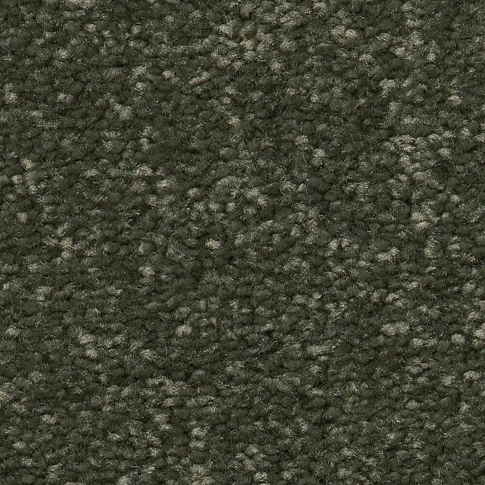 Shaw Hard At Play II Carpet in Rerooted Nature, , large