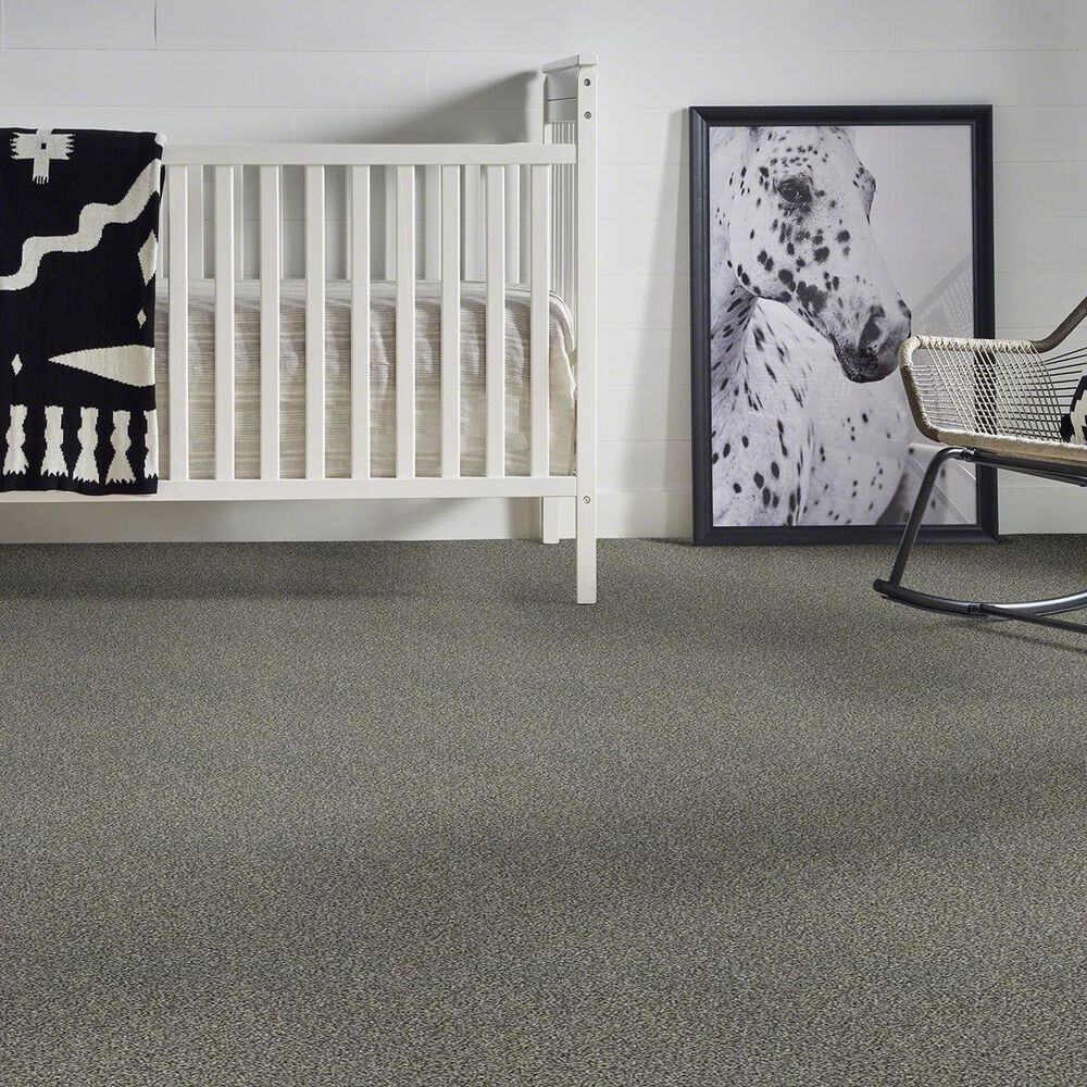 Anderson Tuftex The Bark Side II Carpet in Leeds, , large