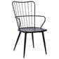 Blue River Parisa Side Chair in Black, , large