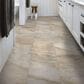 Shaw Paragon Tile Plus Jordan 12" x 24" Luxury Vinyl Tile, , large