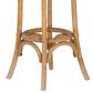 Linon Home Decor Rae Rattan Bar Stool in Brown, , large