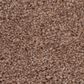 Anderson Tuftex Caress Cozy Harbor I Carpet in Sunbaked, , large