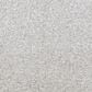 Dixie Home Simplicity Carpet in Granite, , large