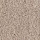 Anderson Tuftex Luxe Feel II Carpet in Suede, , large