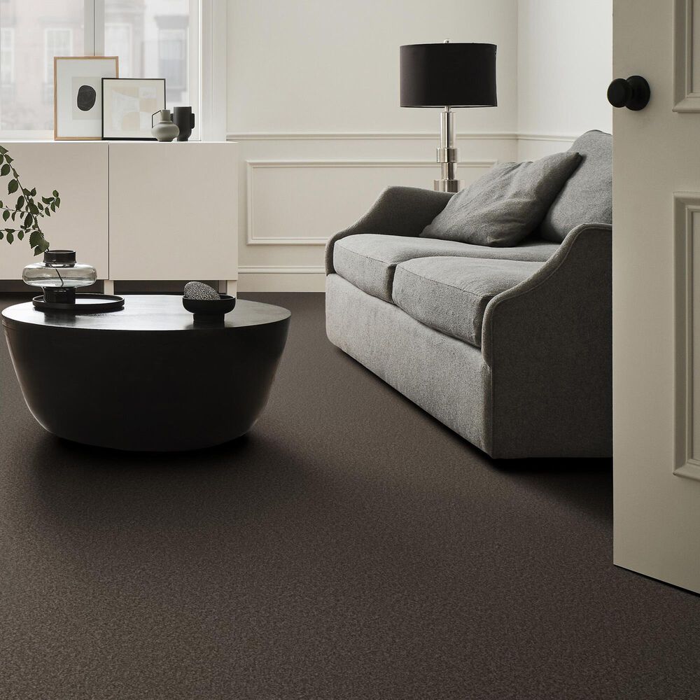 Shaw You Got This I Carpet in Urban Rustic, , large