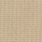 Masland Take It Easy Carpet in Casa Grande, , large