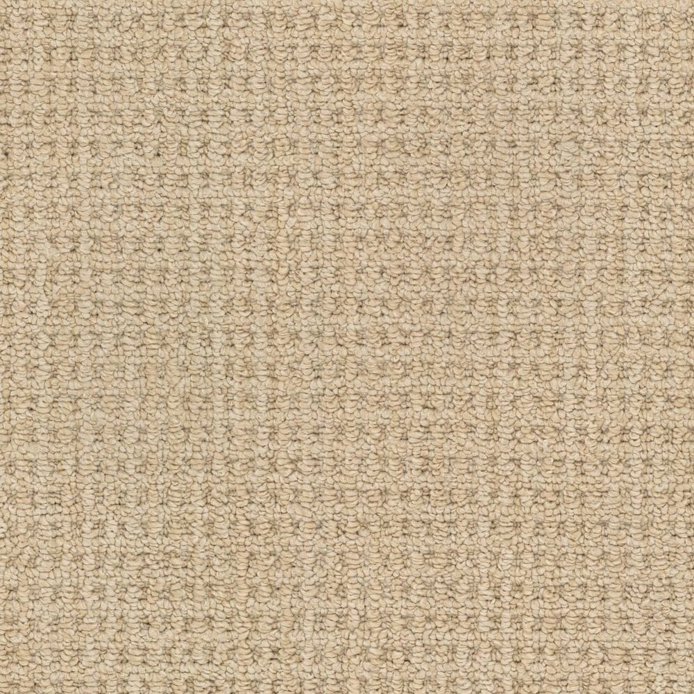 Masland Take It Easy Carpet in Casa Grande, , large