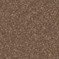 Shaw Awaken Spirit II 12" Carpet in Copperglaze, , large