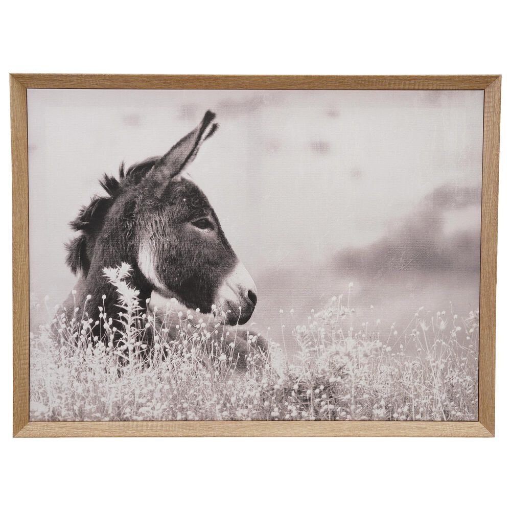 Creative Coop Abode 24" x 18" Donkey Framed Canvas Wall Decor in Multicolor, , large