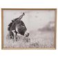 Creative Coop Abode 24" x 18" Donkey Framed Canvas Wall Decor in Multicolor, , large