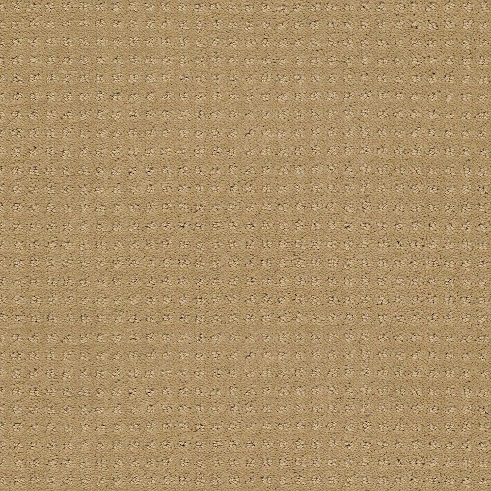 Shaw Perpetual Move Carpet in Warmth, , large