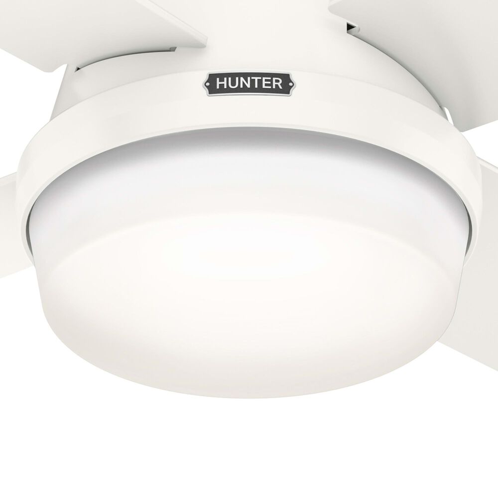 Hunter Dempsey Low Profile 44&quot; Ceiling Fan with LED Lights in Fresh White, , large