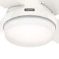 Hunter Dempsey Low Profile 44" Ceiling Fan with LED Lights in Fresh White, , large