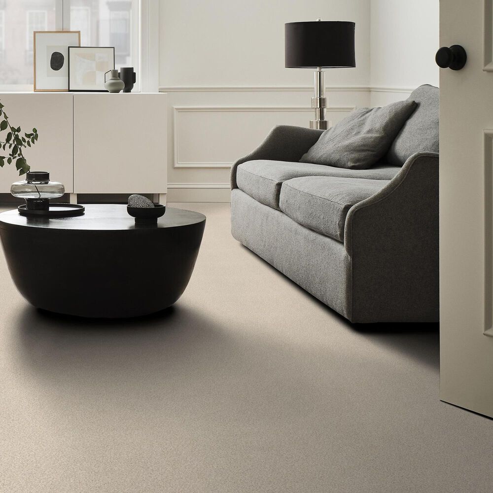 Shaw Tonal Comfort I Carpet in Happy Place, , large