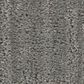 Shaw Shady Stroll Carpet in Sheer Taupe, , large