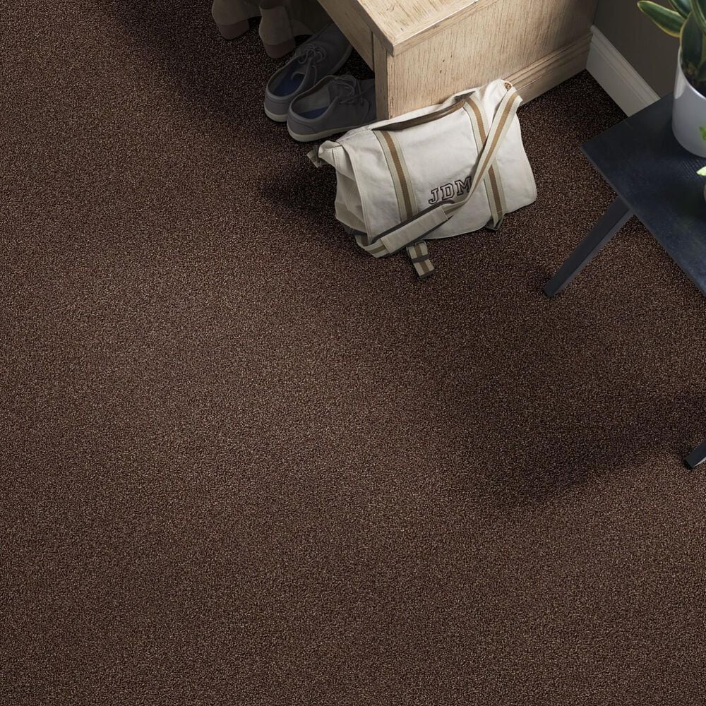Shaw Find Your Comfort TT I Carpet in Chocolate Treat, , large