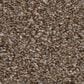 Shaw Yes You Can II Carpet in Worn Path, , large