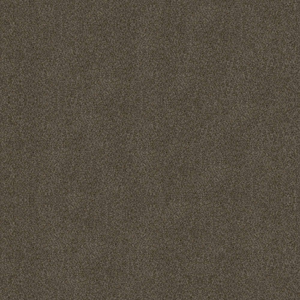 Shaw Boundless II Carpet in Chestnut Ridge, , large
