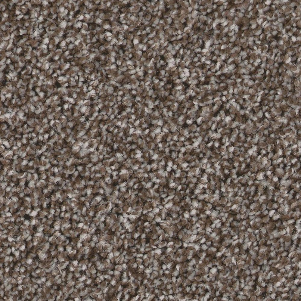 Shaw Imaginable II Carpet in French Roast, , large