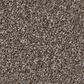 Shaw Imaginable II Carpet in French Roast, , large