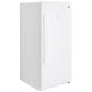 GE Appliances 14.1 Cu. Ft. Frost-Free Upright Freezer, , large
