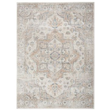 Nourison Astra Machine Washable 4" x 6" Silver and Grey Area Rug, , large