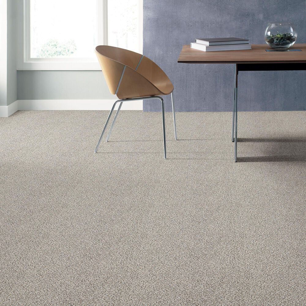 Shaw Find Your Comfort TA II Carpet in Front Row Seat, , large