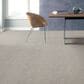Shaw Find Your Comfort TA II Carpet in Front Row Seat, , large