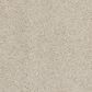 Anderson Tuftex Barracan Classic III Carpet in Suede, , large
