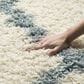 Safavieh Dallas Shag SGD257J-26 2"3" x 6" Ivory/Light Blue Runner, , large