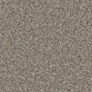 Phenix Hydra Carpet in Secluded Beach, , large