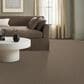 Anderson Tuftex Moderne Carpet in Chateau, , large