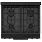 Thor Kitchen Gordon Ramsay 4.55 Cu. Ft. 30" Professional Liquid Propane Range with Navy Blue Handle Kit in Black, , large