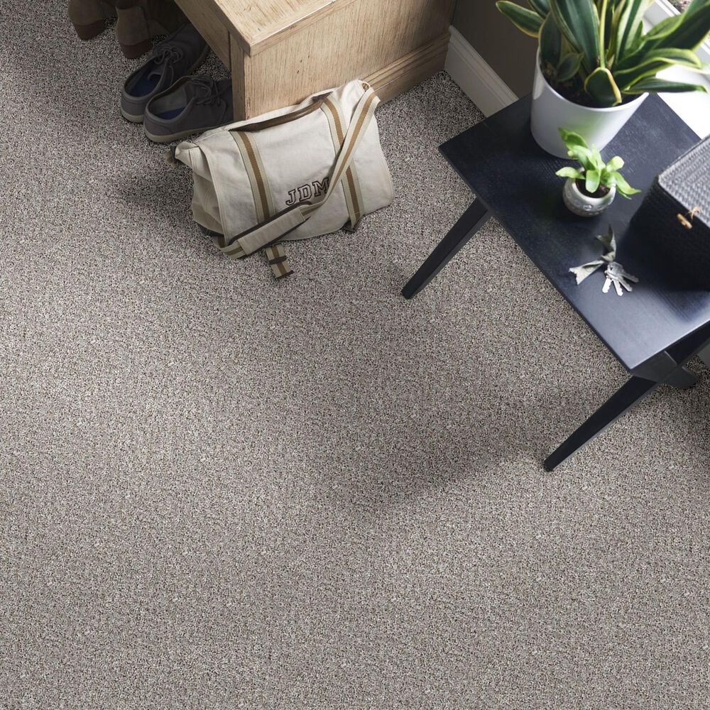 Philadelphia Mixed Essentials Carpet in Soft Pewter, , large