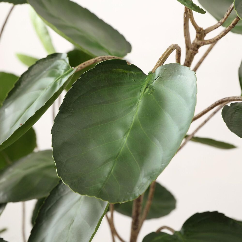 Safavieh Faux Faux Polyscias Potted Tree, , large