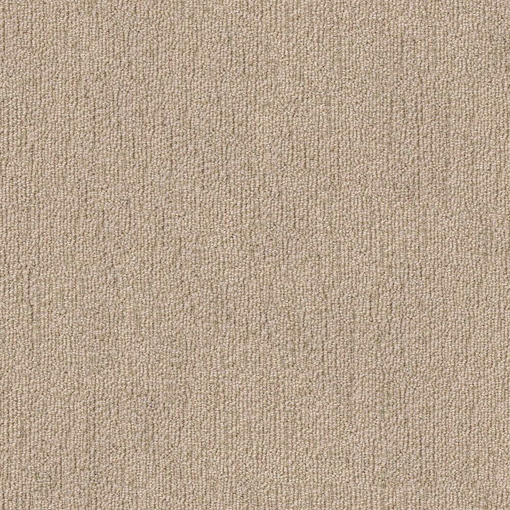 Godfrey-Hirst True North Carpet in Shasta, , large