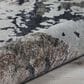 Nourison Silk Shadows 5"6" x 7"5" Silver and Grey Area Rug, , large