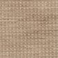 Masland Wonderwall Carpet in Daring, , large