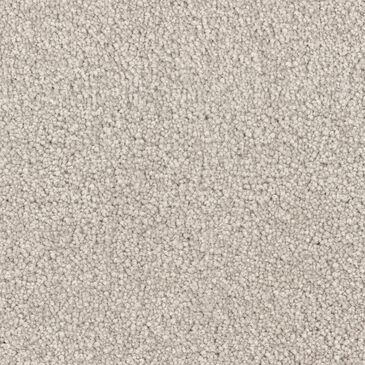Dixie Home Big Splash Carpet in Sand Dollar, , large