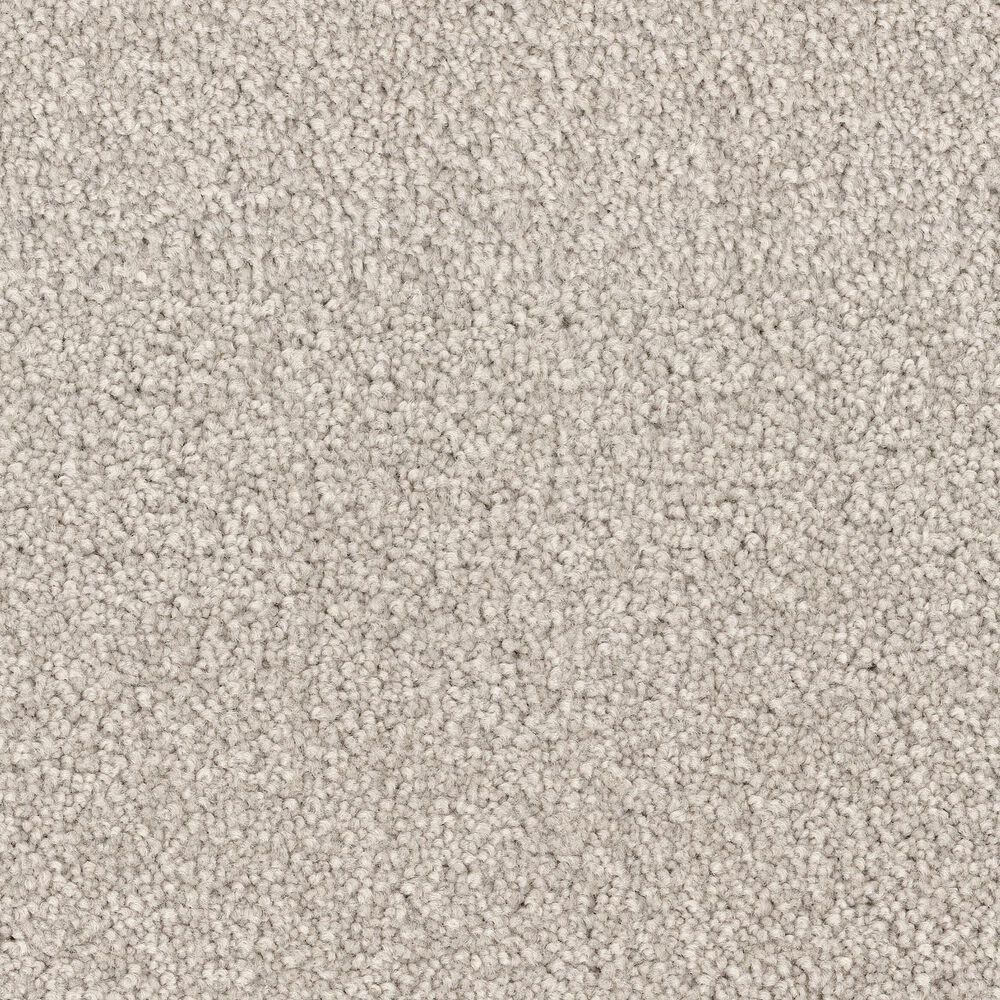Dixie Home Big Splash Carpet in Sand Dollar, , large