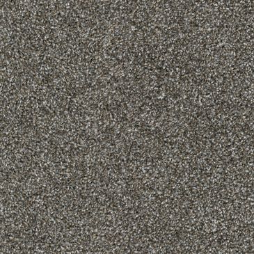 Dixie Home Riverbend Carpet in Slate, , large