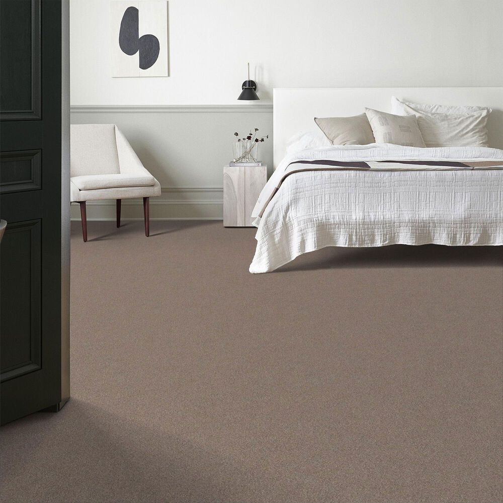 Shaw Live On Comfort Carpet in Carriage House, , large