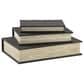 Ashley Jolina Decorative Box in Black (Set of 3), , large