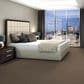 Shaw Yes You Can III Carpet in Worn Path, , large