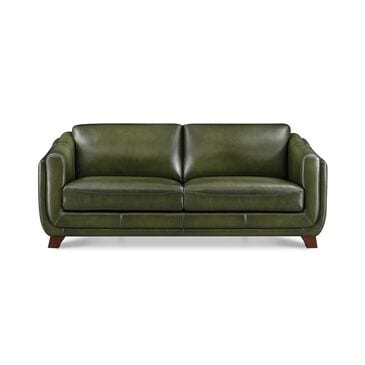 Hydeline Omaha Stationary Sofa in Forrest Green, , large