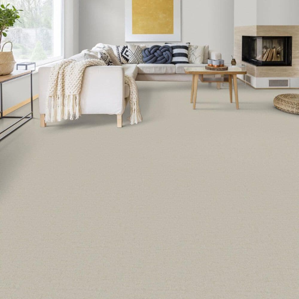 Dixie Home Genuine Carpet in Faithful, , large
