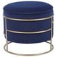Rta Products Elegant Storage Ottoman with Gold Frame in Blue, , large